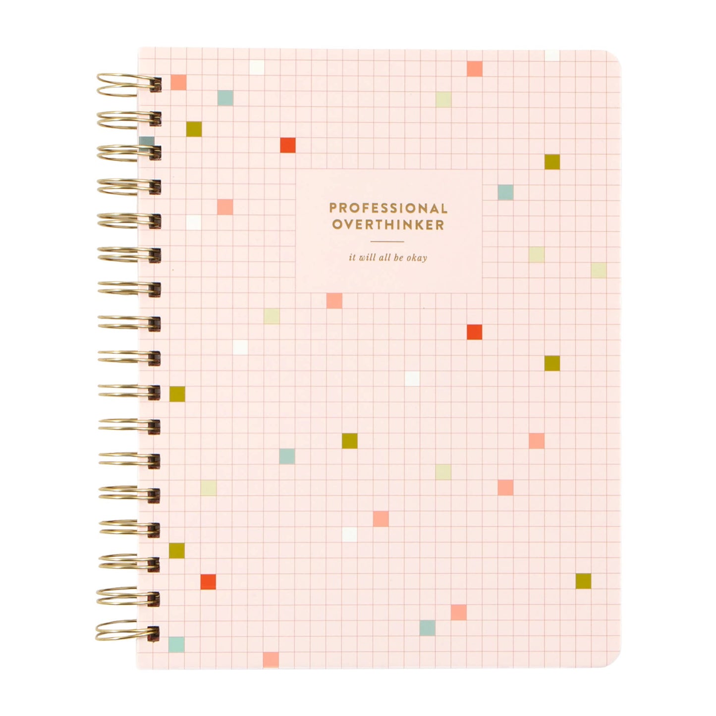 Professional Overthinker Notebook