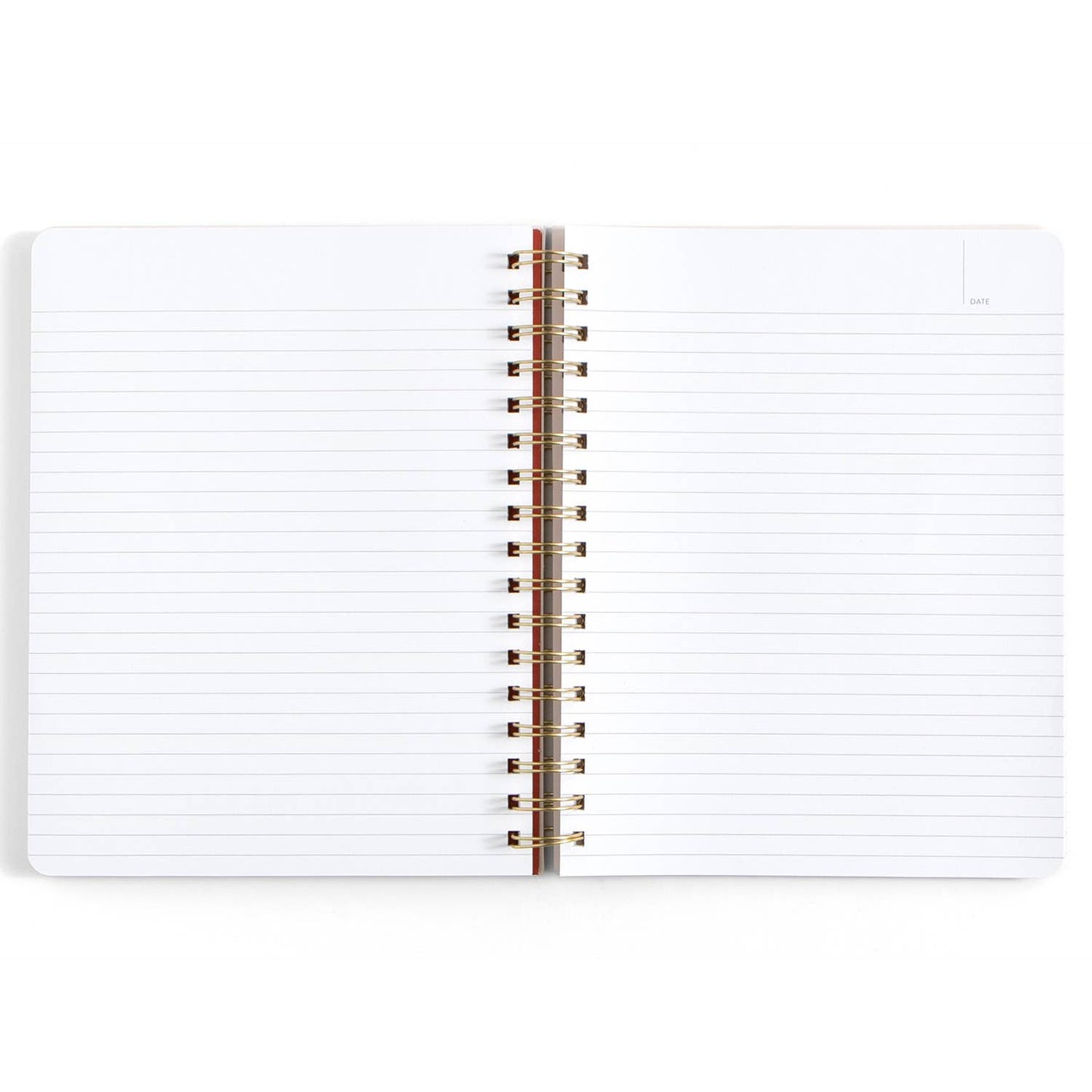 Professional Overthinker Notebook