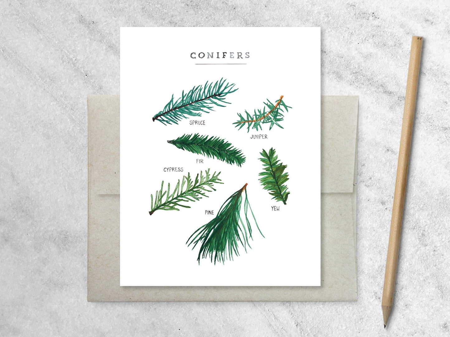 Evergreen Needles Holiday Greeting Card